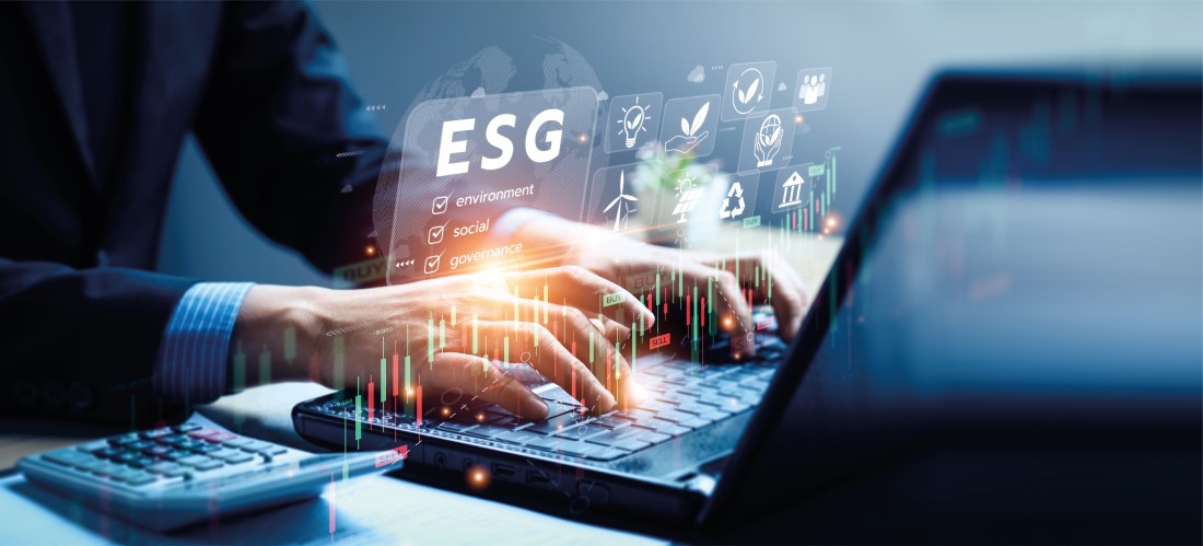 SUSTAINABILITY REPORTING USING THE GRI STANDARDS